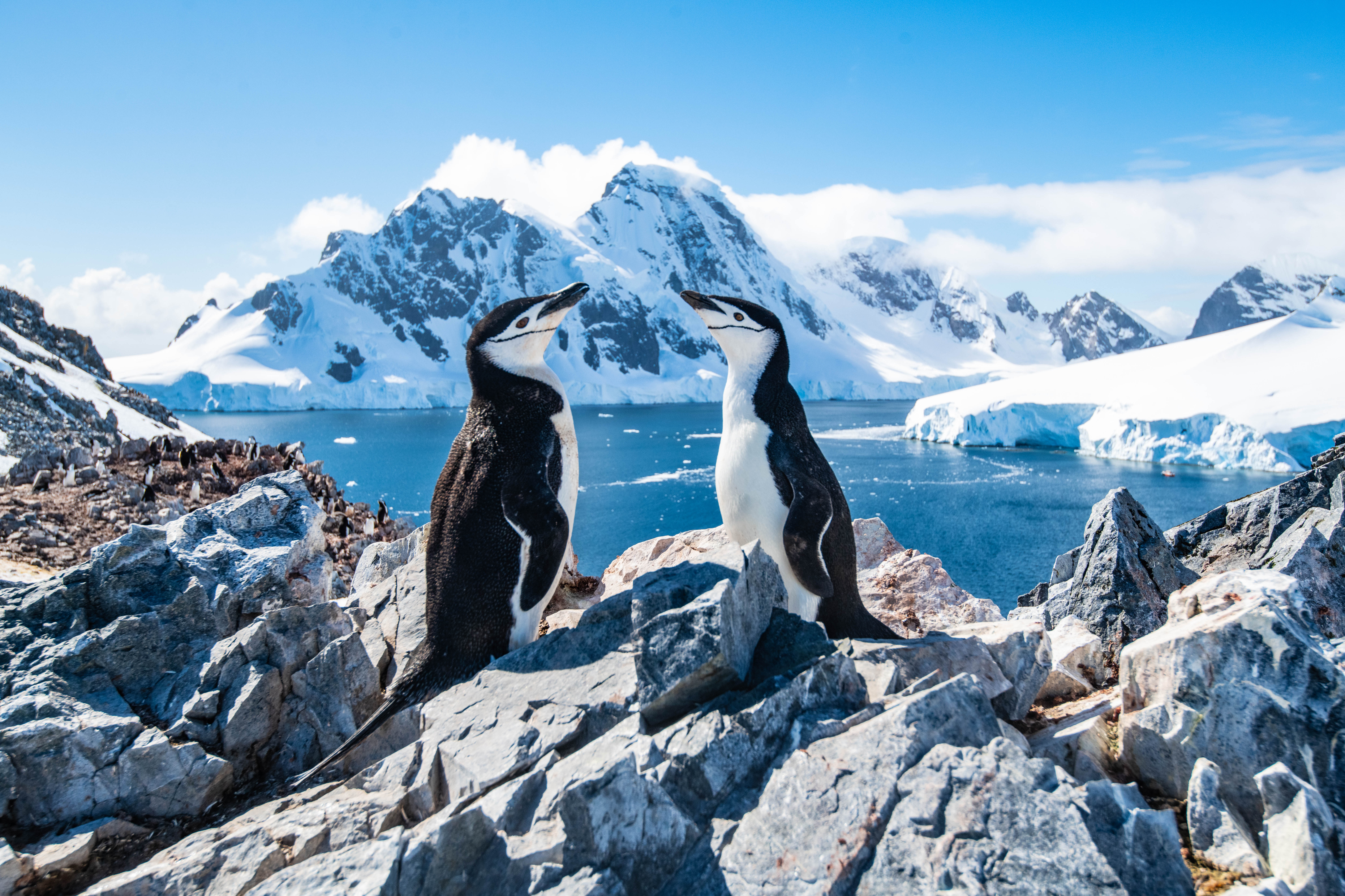 Antarctica - Luxury Yacht Destinations